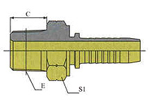 BSPT MALE