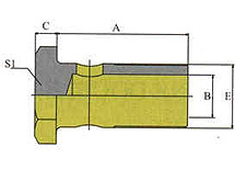 BSP BOLT