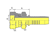 BSP Female 60º Cone Double Hexagon