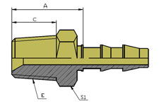 BSPT Male