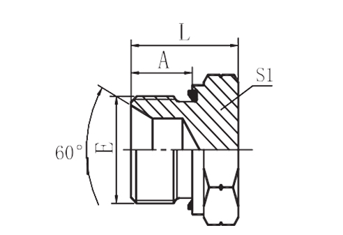 BSP MALE CAPTIVE SEAL PLUG