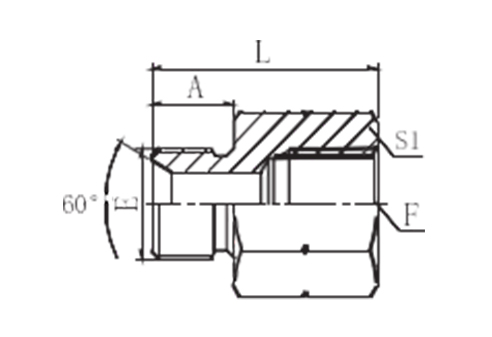 BSP MALE DOUBLE USE FOR 60°SEAT OR BONDED SEAL / BSPT FEMALE