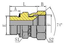 BSP MALE O-RING/METRIC FEMALE 74 SEAT