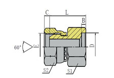 BSP FEMALE 60 CONE/INCH SOCKET-WELD TUBE