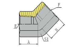 45 BSP FEMALE