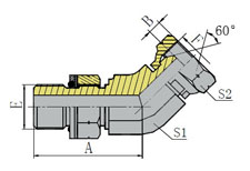 45 BSP  MALE  O-RING/BSP  MALE  60   CONE