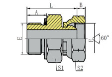 METRIC  MALE  O-RING/BSPP  FEMALE  60   CONE