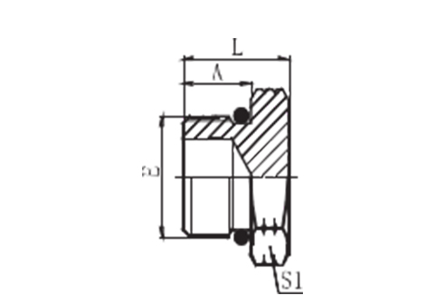 SAE O-RING BOSS PLUG